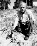 Simpson with his last hemp plant